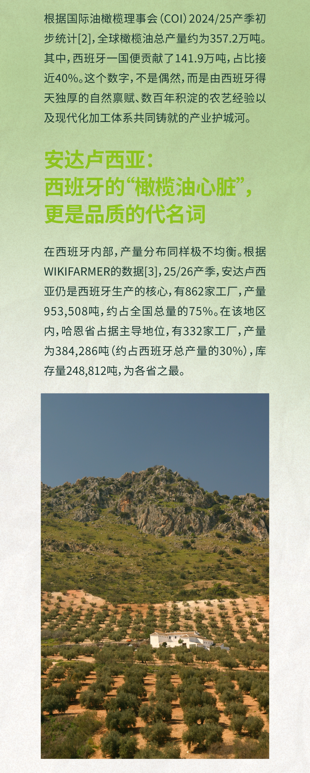 安达卢西亚地区橄榄种植场景