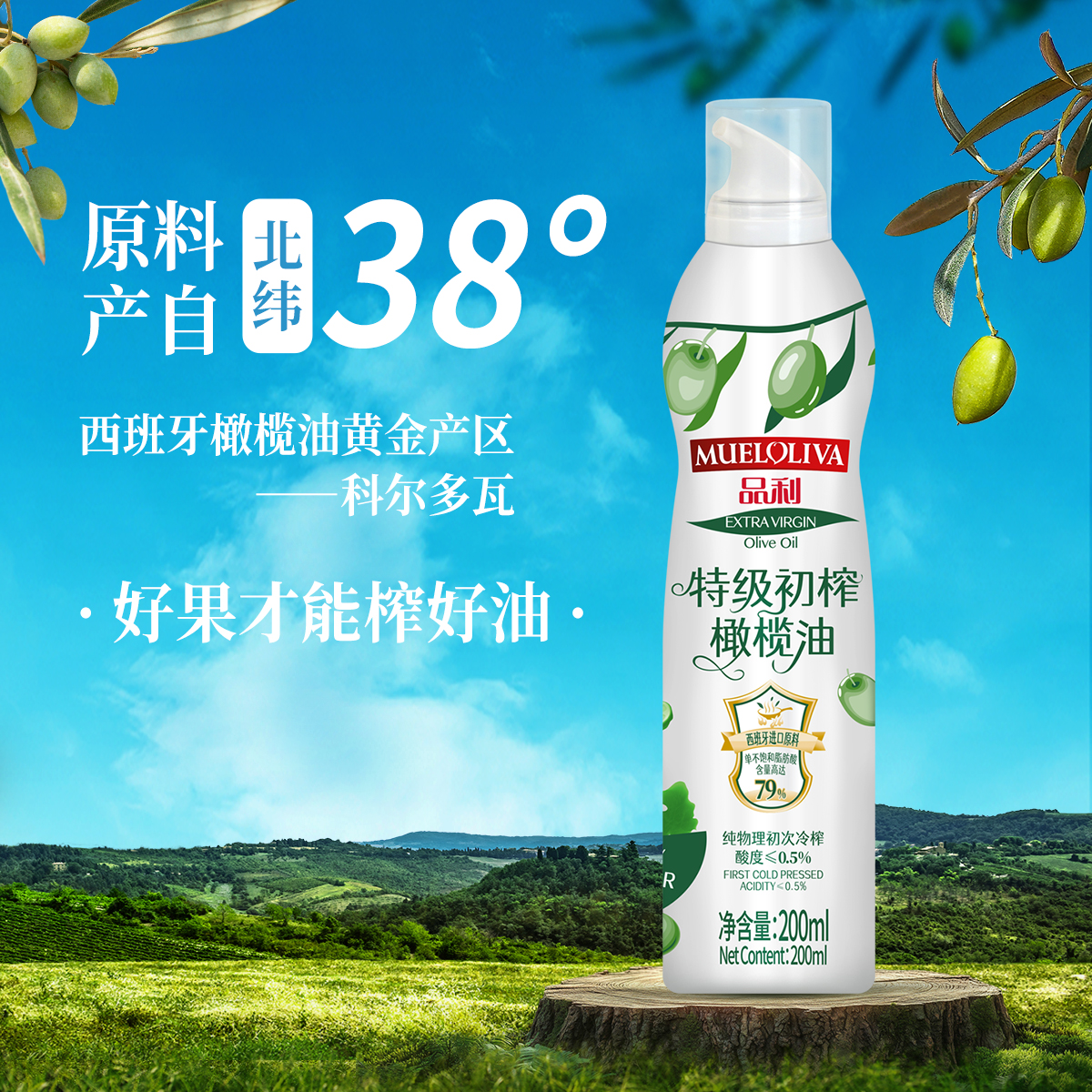 正面